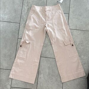 Anthropologie Pilcro Blush Cargo Pants